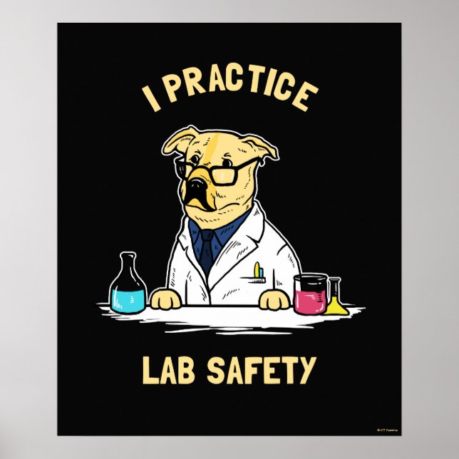 Ich praktiziere die Sicherheit von Labradoren Poster (Vorne)