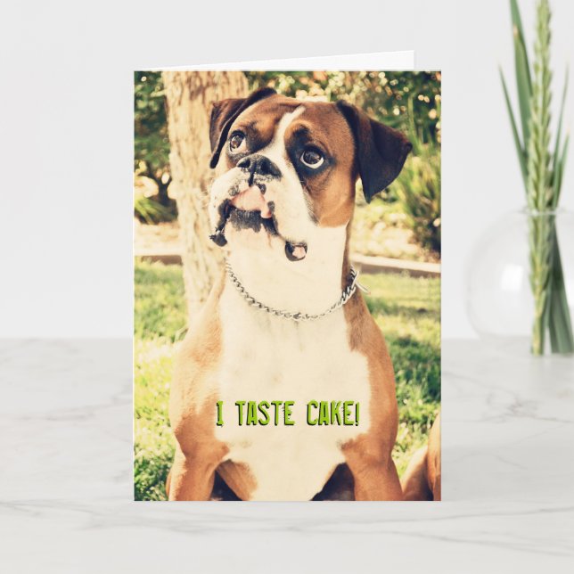 Ich probiere Kuchen! Boxer Birthday Card Karte (Vorderseite)