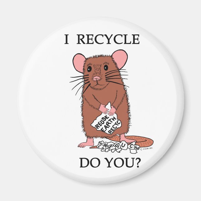 Ich Recycelte, oder? Magnet (Vorne)
