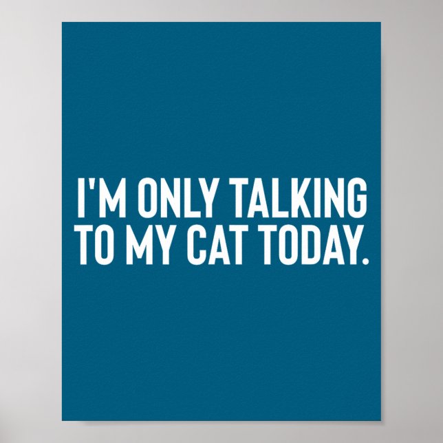 Ich rede heute nur mit meiner Katze  Poster (Vorne)
