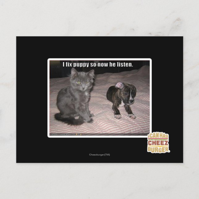 Ich repariere Puppy Postkarte (Vorderseite)