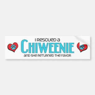 Ich rettete einen Chiweenie (weiblichen) Autoaufkleber