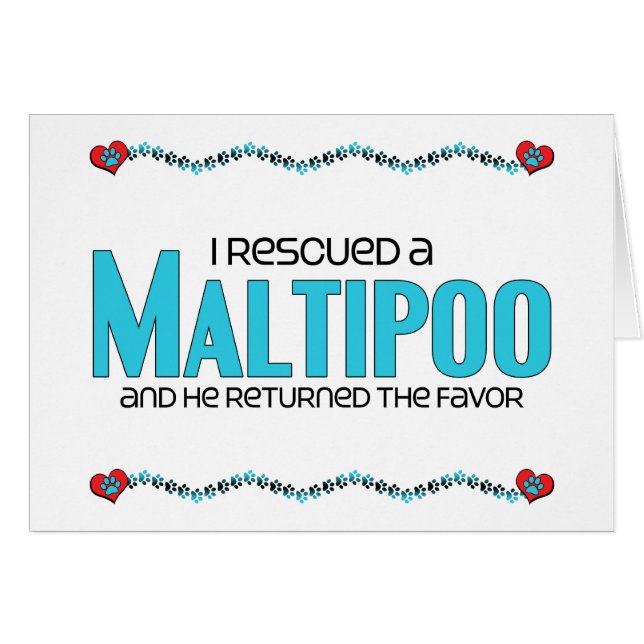 Ich rettete einen Maltipoo (Mann) (Vorderseite (Horizontal))