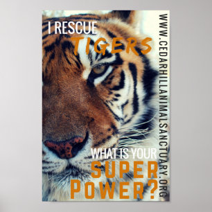 Ich Rettete Tigers Super Power Poster