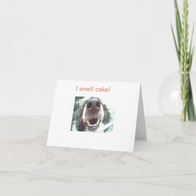 "Ich rieche Kuchen!" Geburtskarte des Hundes Karte (Vorderseite)