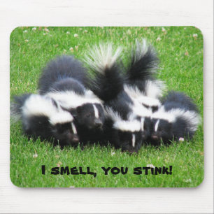 ICH RIECHE Sie GESTANK! Mousepad