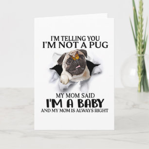 Ich sage dir, ich bin kein Mops, ich bin ein Baby- Karte
