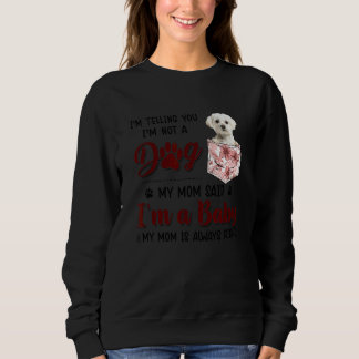 Ich sage Ihnen, dass ich kein Hund bin, sagte mein Sweatshirt