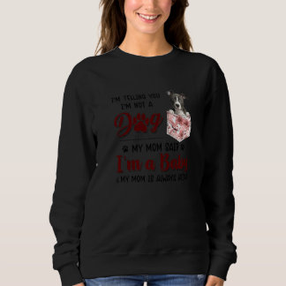 Ich sage Ihnen, dass ich kein Hund bin, sagte mein Sweatshirt