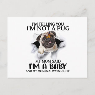 Ich sage Ihnen, ich bin kein Mops, ich bin ein Bab Postkarte