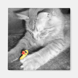 'Ich sagte: Füttre nicht die Katze' Gummi Duck Mag Magnet