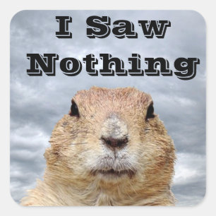Ich sah nichts am Tag des Groundhog Quadratischer Aufkleber