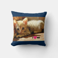 Ich schätze meine Katze