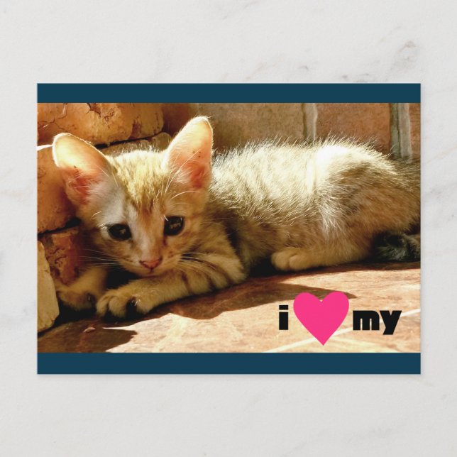 Ich schätze meine Katze Postkarte (Vorderseite)