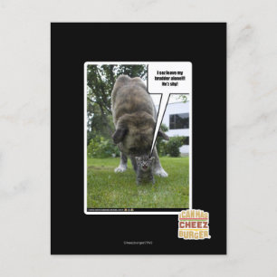 Ich seh, ich verließ meinen Bruder allein Postkarte