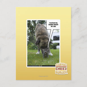 Ich seh, ich verließ meinen Bruder allein Postkarte