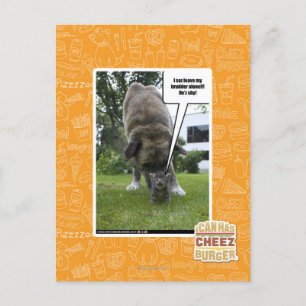 Ich seh, ich verließ meinen Bruder allein Postkarte