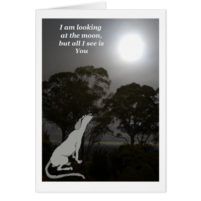 Ich sehe auf den Mond (Vorne)