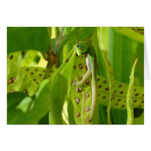 Ich sehe dich (Vorderseite (Horizontal))