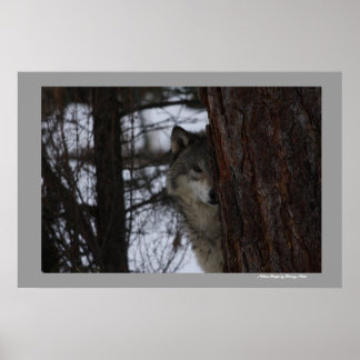 Ich sehe dich poster