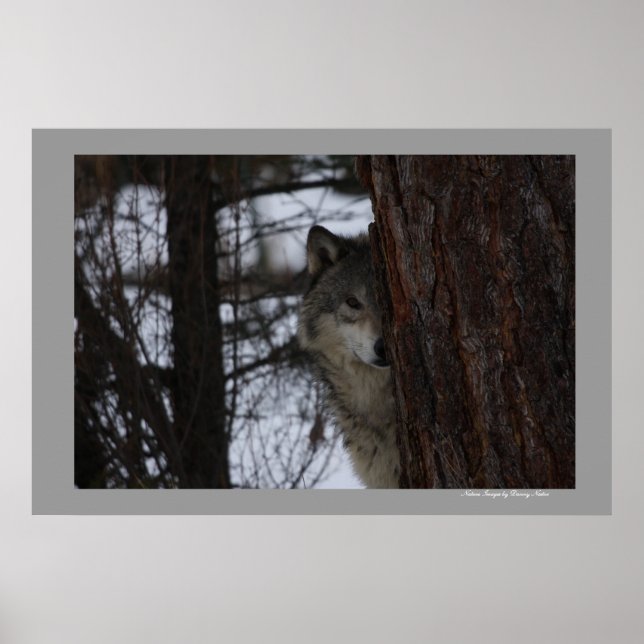 Ich sehe dich poster (Vorne)