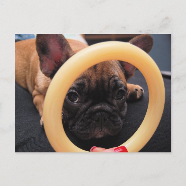 "Ich sehe dich" Postkarte (Vorderseite)