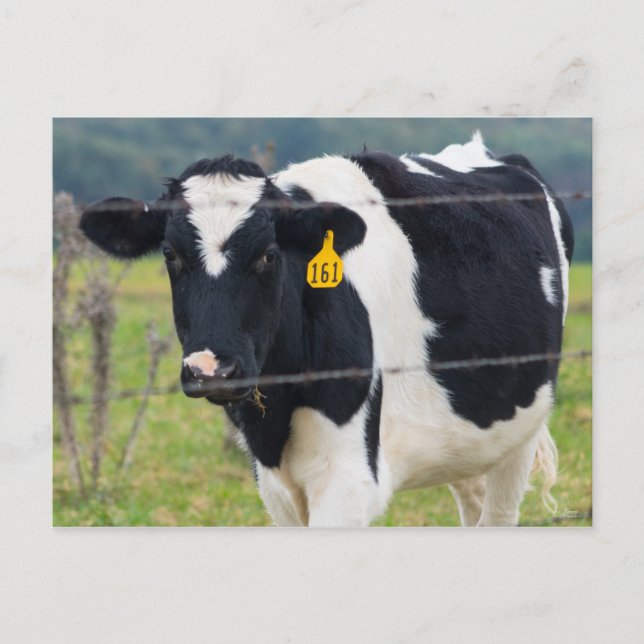 Ich sehe dich postkarte (Vorderseite)