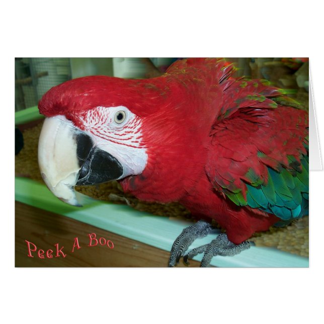 Ich sehe Sie (Vorderseite (Horizontal))