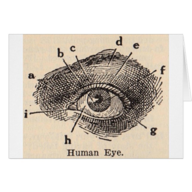 Ich sehe Sie (Vorderseite (Horizontal))