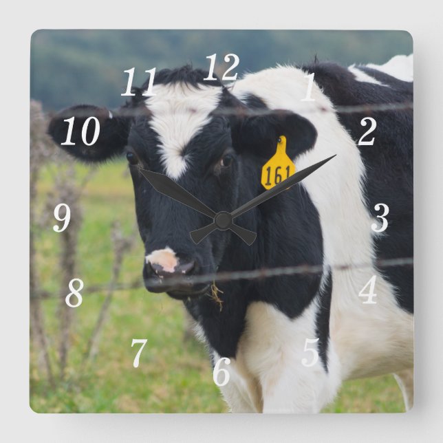 Ich sehe, wie Sie die Uhr sehen (Vorderseite)