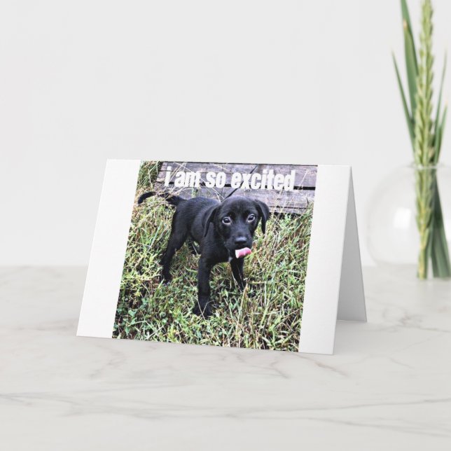 ICH SENDE EIN KLEINES UND SAGE ***GRATULIERUNGEN** KARTE (Vorderseite)