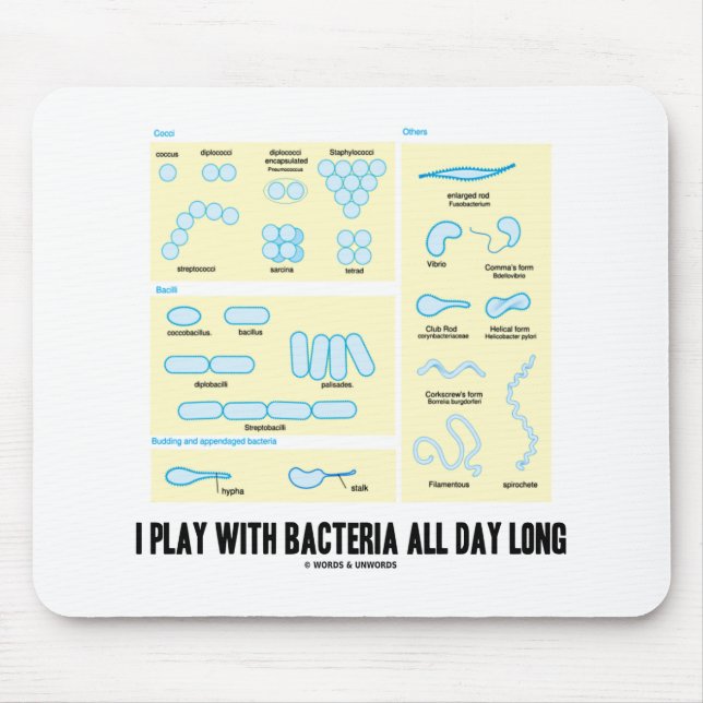 Ich spiele den ganzen Tag mit Bakterien (Morpholog Mousepad (Vorne)