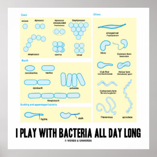 Ich spiele den ganzen Tag mit Bakterien (Morpholog Poster