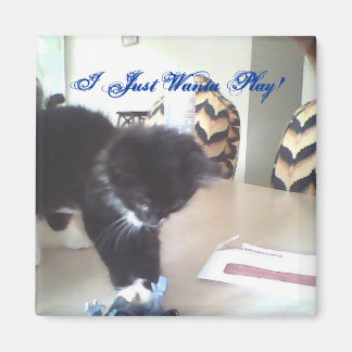 Ich spiele nur Wanta! Magnet