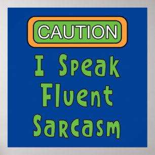 Ich spreche Fluent Sarcasm Poster