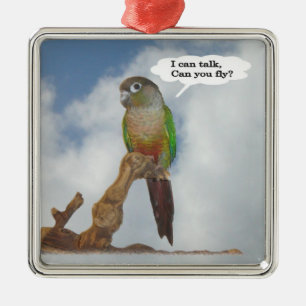 Ich sprechen, können können Sie fliegen? Silbernes Ornament