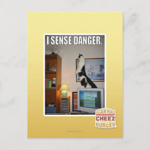 Ich spüre Gefahr Postkarte