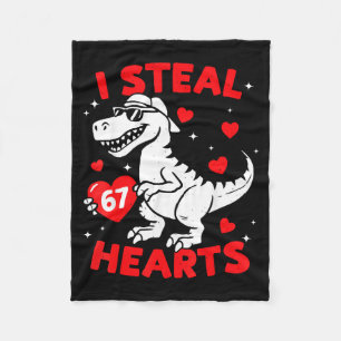 Ich stehle 67 Herz Dinosaurier für Jungen Mädchen  Fleecedecke