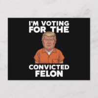 Ich stimme für den verurteilten Felon Pro Trump 20