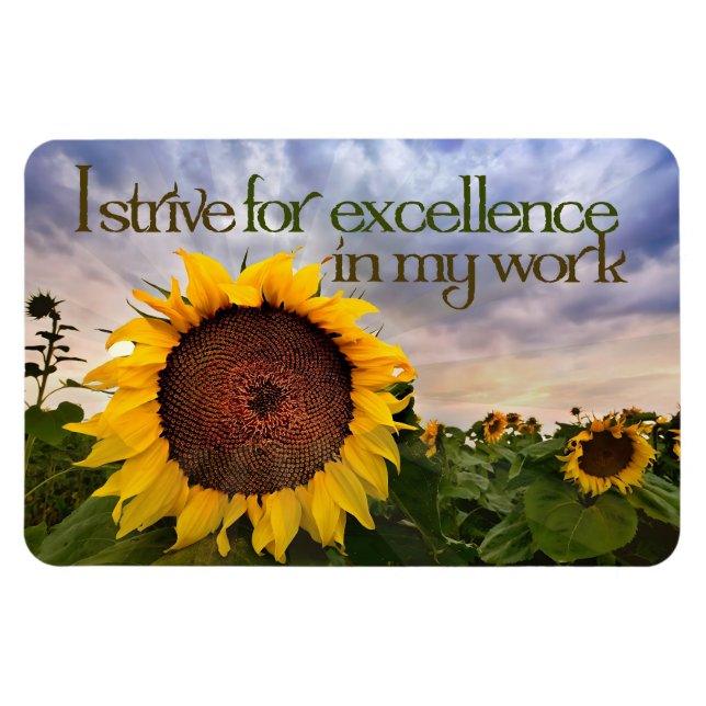 "Ich strebe nach Exzellenz" Motivation Affirmation Magnet (Horizontal)