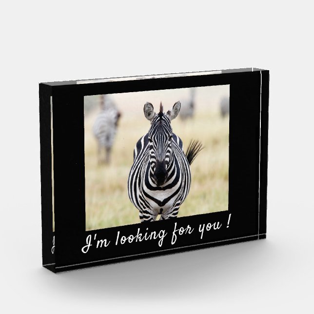 Ich suche Sie nach Zebra-Foto mit Text Fotoblock (Links)