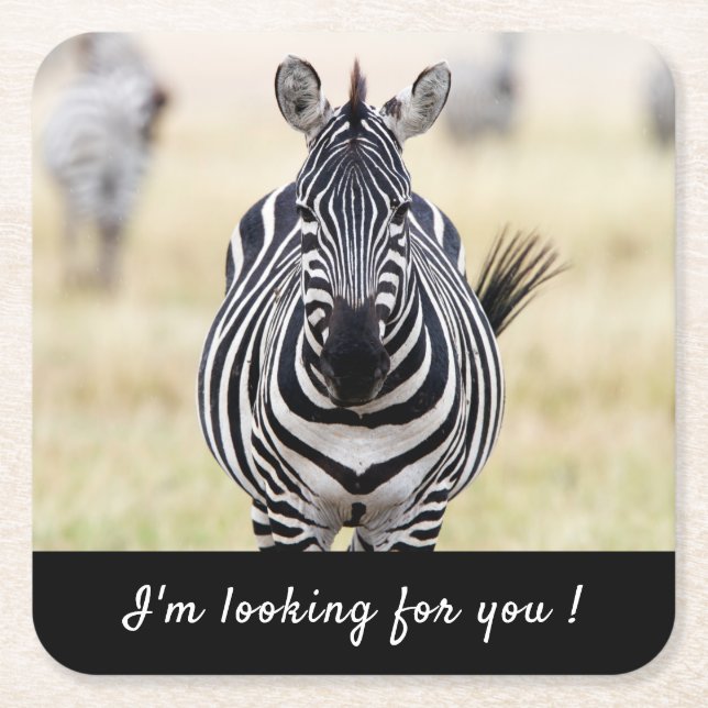 Ich suche Sie nach Zebra-Foto mit Text Rechteckiger Pappuntersetzer (Vorderseite)