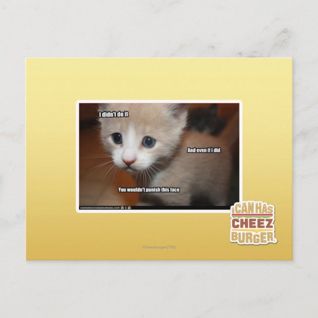 Ich tat es nicht postkarte (Vorderseite)