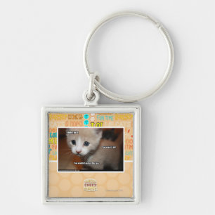 Ich tat es nicht schlüsselanhänger