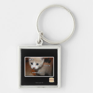 Ich tat es nicht schlüsselanhänger