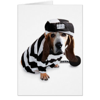 Ich tat nicht gemein es…