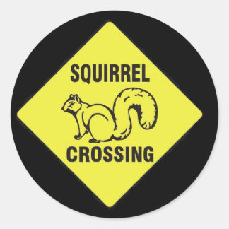 Ich trat ein Eichhörnchenkleber Runder Aufkleber