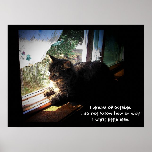 Ich träume von außen Haiku Poster (Vorne)