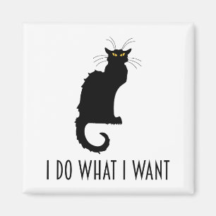 Ich tue, was ich Gewollt Funny Cat Chat Noir Magnet