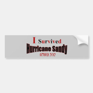 Ich überlebte Hurrikan-Sandy-Autoaufkleber Autoaufkleber